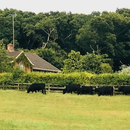 Yellowham Farm, Dorchester Higher Bockhampton Luaran gambar