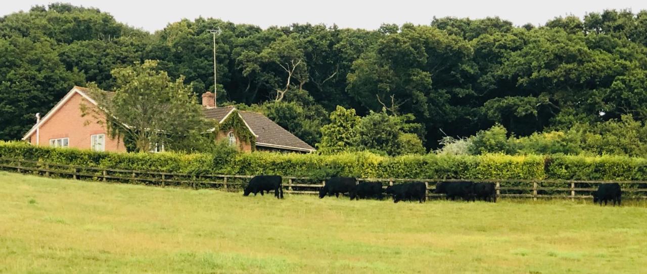 Yellowham Farm, Dorchester Higher Bockhampton Luaran gambar