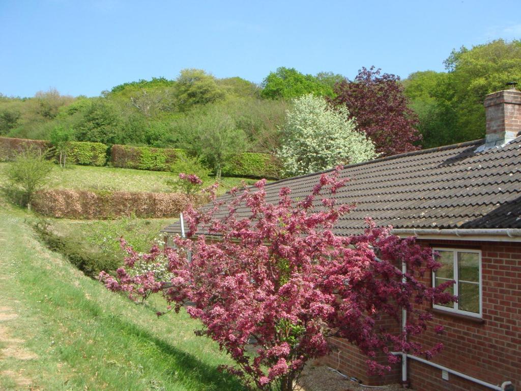 Yellowham Farm, Dorchester Higher Bockhampton Luaran gambar