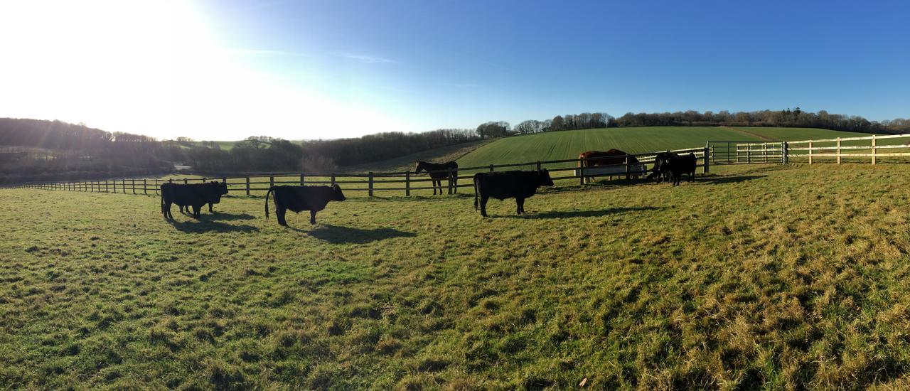 Yellowham Farm, Dorchester Higher Bockhampton Luaran gambar